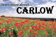 Learn More About Carlow