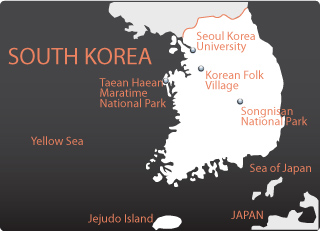 Study in Korea